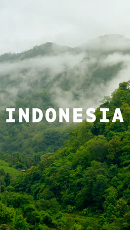 Vertical-Video-Drone-Shot-Of-Rainforest-And-Jungle-Landscape-Overlaid-With-Animated-Graphic-Spelling-Out-Indonesia